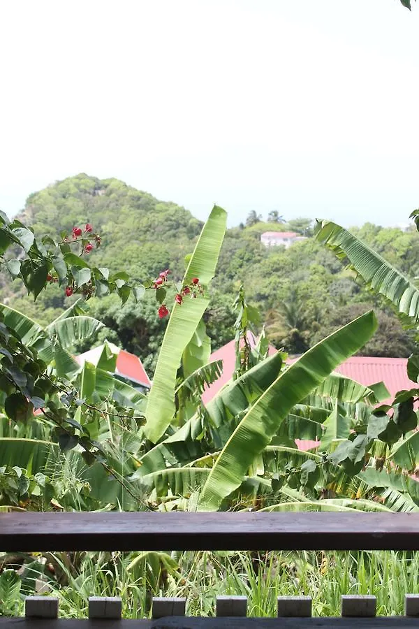Scout'S Place Hotel Saba
